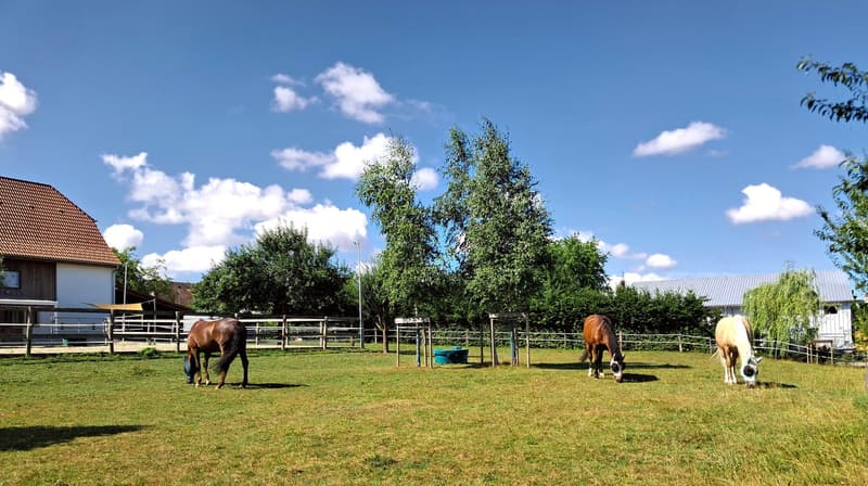 Offre exceptionnelle et très rare - Magnifique ferme villageoise totalement rénovée sur 4'385 m² (8)