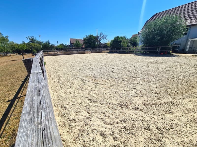 Offre exceptionnelle et très rare - Magnifique ferme villageoise totalement rénovée sur 4'385 m² (13)