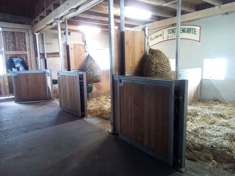 Offre exceptionnelle et très rare - Magnifique ferme villageoise totalement rénovée sur 4'385 m² (16)