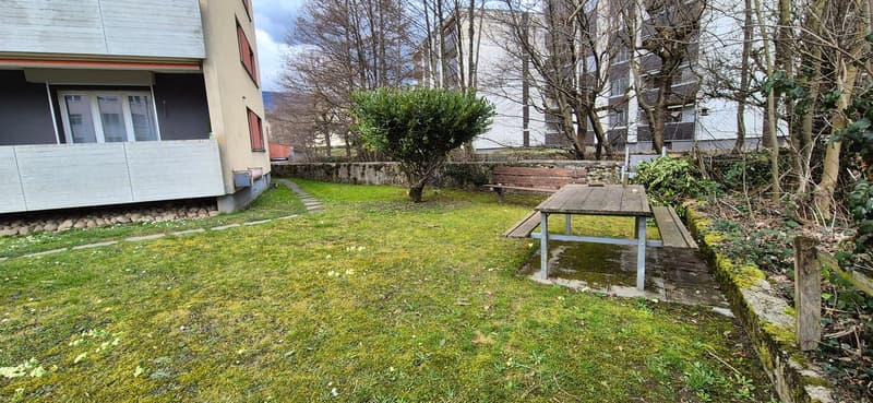small garden with bench and table, surrounded by trees and bushes