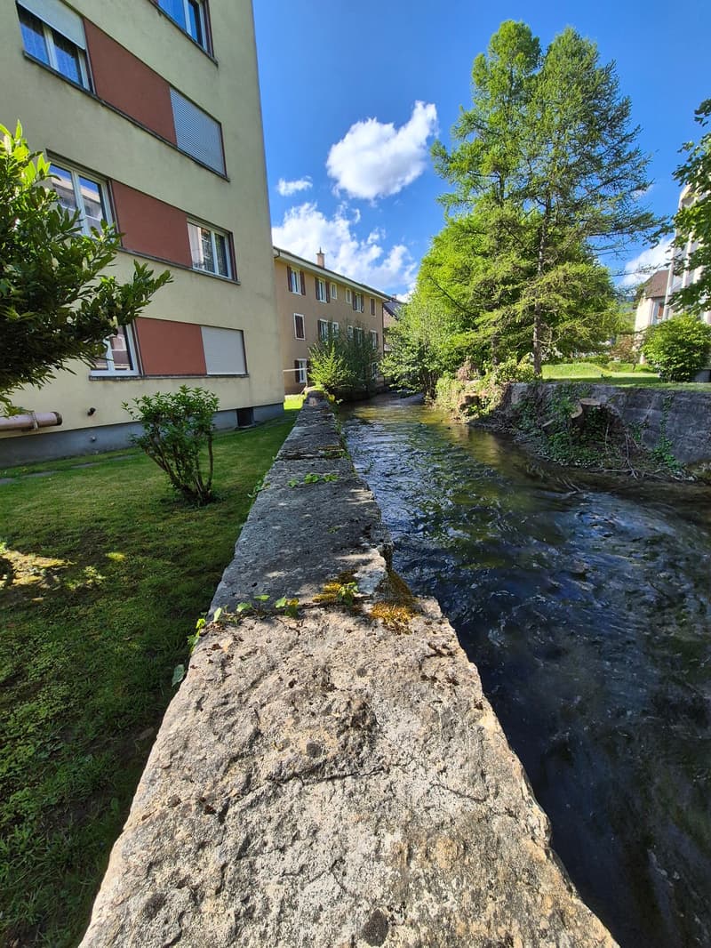 A Vendre ! Boudry bel appartement de 4.5 pièces ! (14)