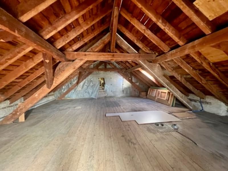 A vendre ! Très bel Immeuble mixte, avec 14 garages et 18 places de parc (10)