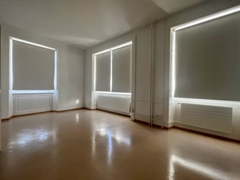 A vendre ! Très bel Immeuble mixte, avec 14 garages et 18 places de parc (8)