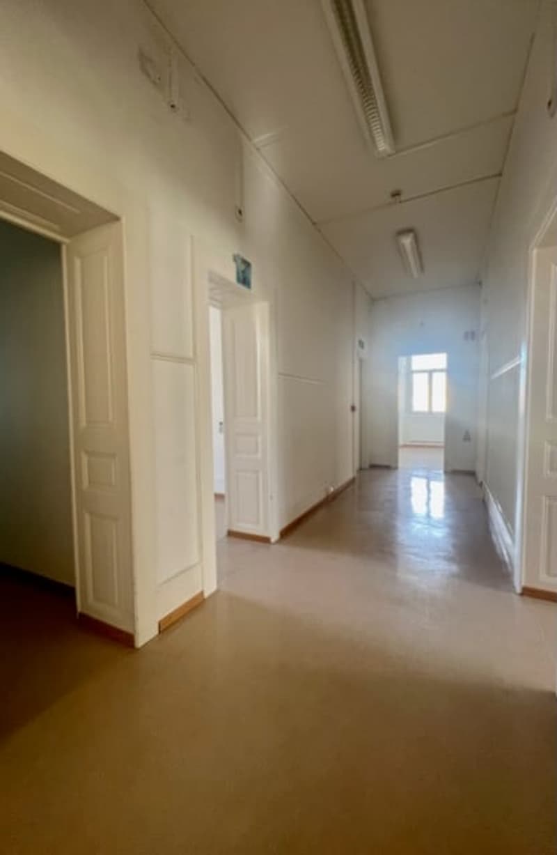 A vendre ! Très bel Immeuble mixte, avec 14 garages et 18 places de parc (14)