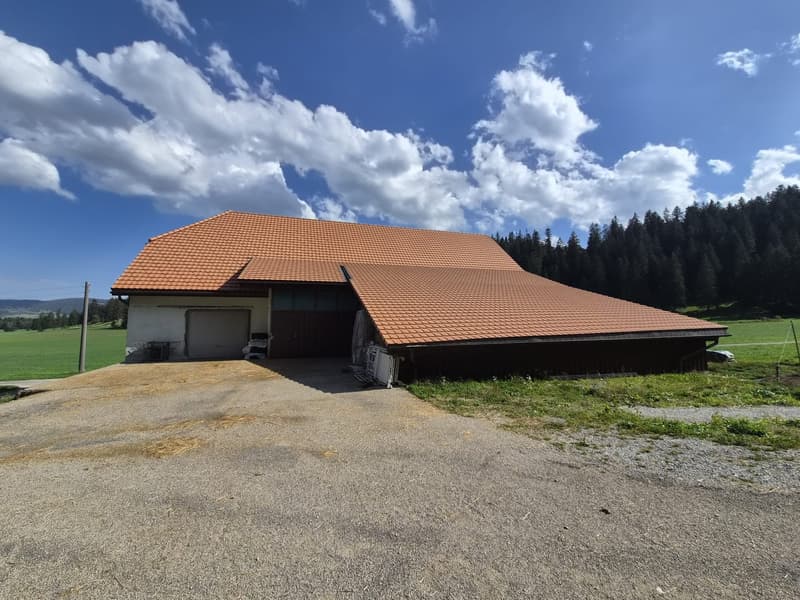 A vendre ferme aux volumes généreux (5)