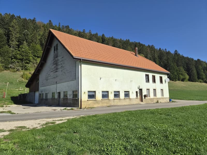 A vendre ferme aux volumes généreux (4)