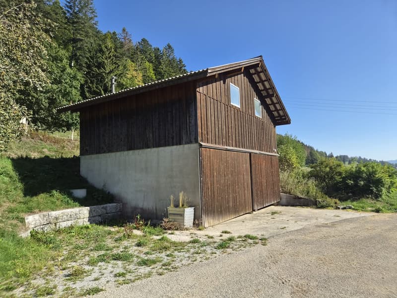 A vendre ferme aux volumes généreux (6)
