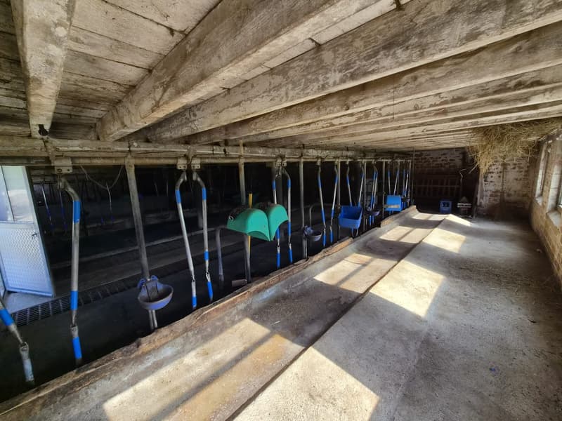 A vendre ferme aux volumes généreux (11)