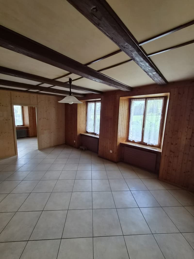A vendre ferme aux volumes généreux (8)