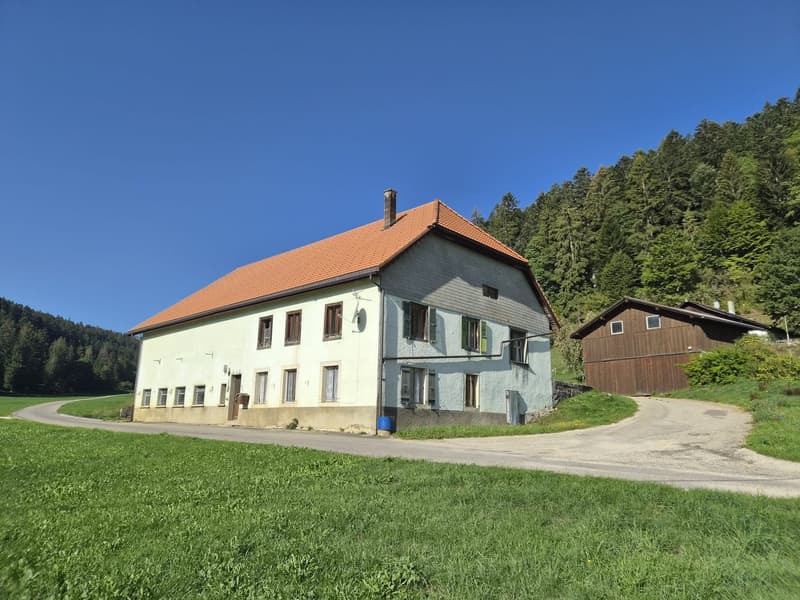 A vendre ferme aux volumes généreux (1)