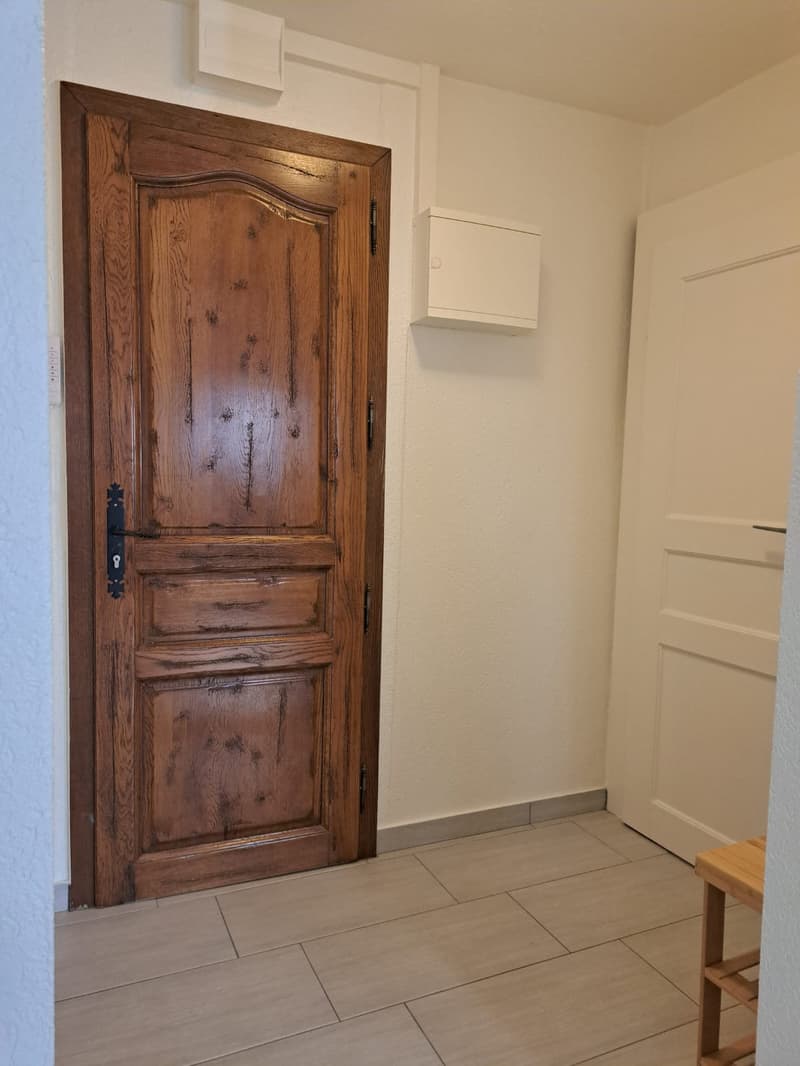 2-room apartment in a very quiet street in Le Locle (14)