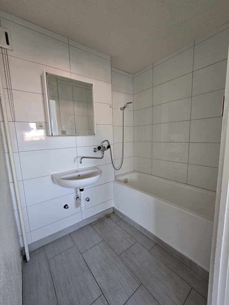 Bathroom: white tiles, white sink, bathtub, shower, mirror