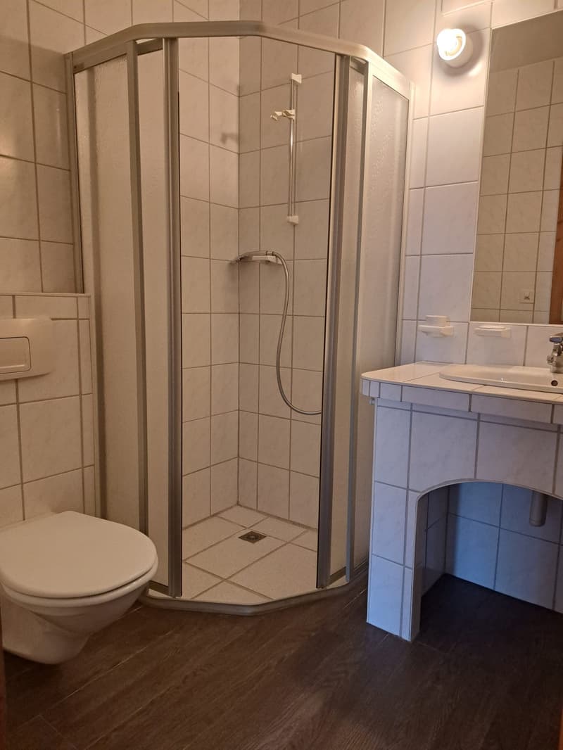 shower cubicle, toilet, sink, mirror, light above the mirror