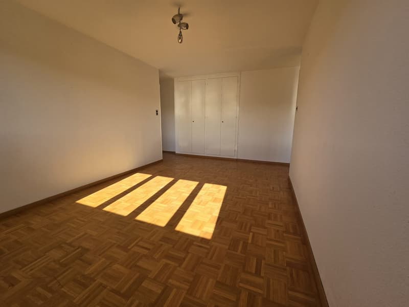 empty room, wooden parquet floor, white walls, two double doors, ceiling light
