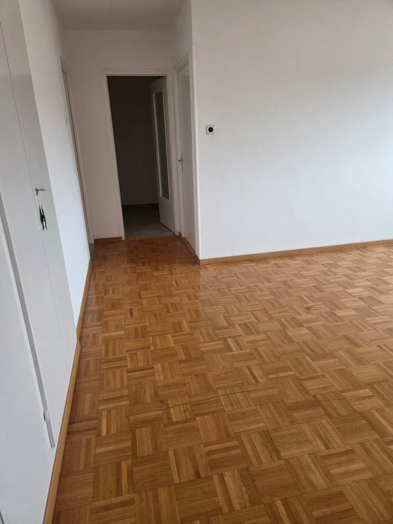 empty room, wooden parquet flooring, white walls, glass panes on doors, open doorway