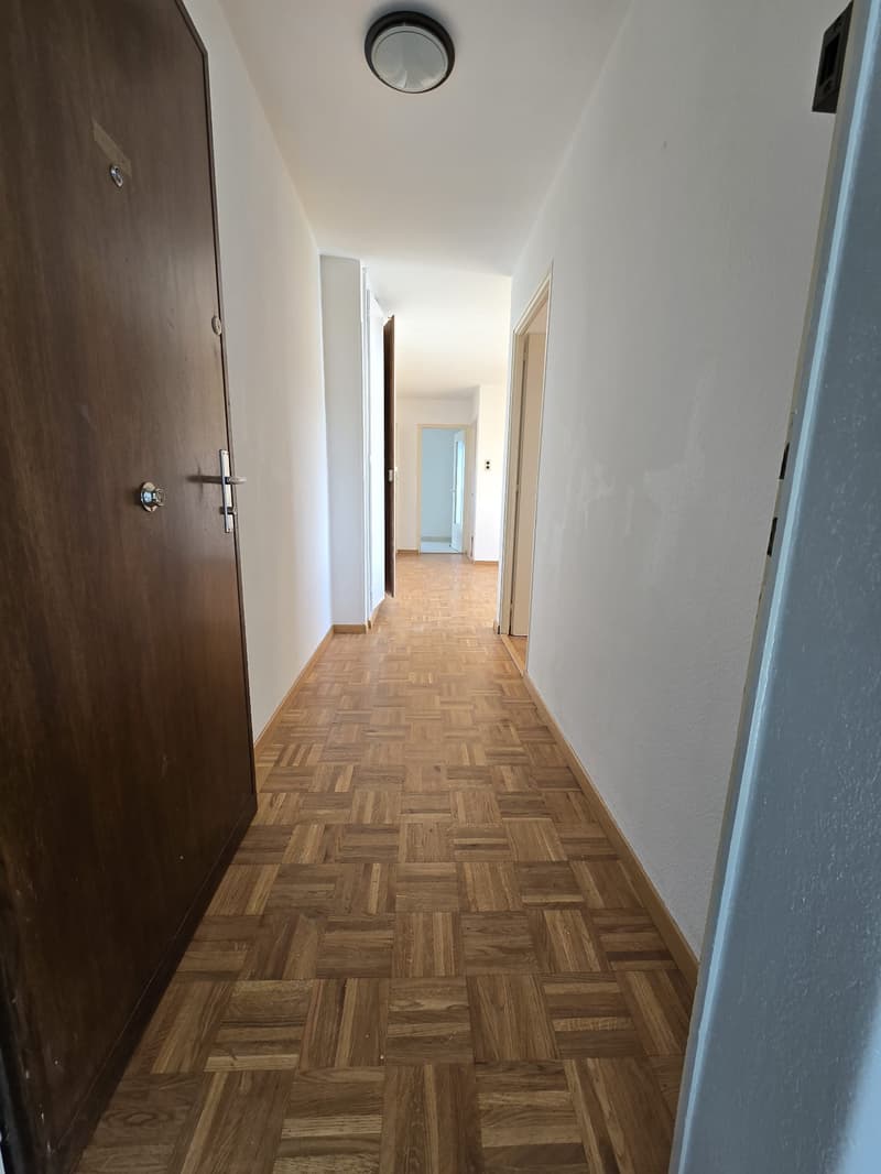 Empty corridor with parquet flooring, wooden door, white walls, ceiling light