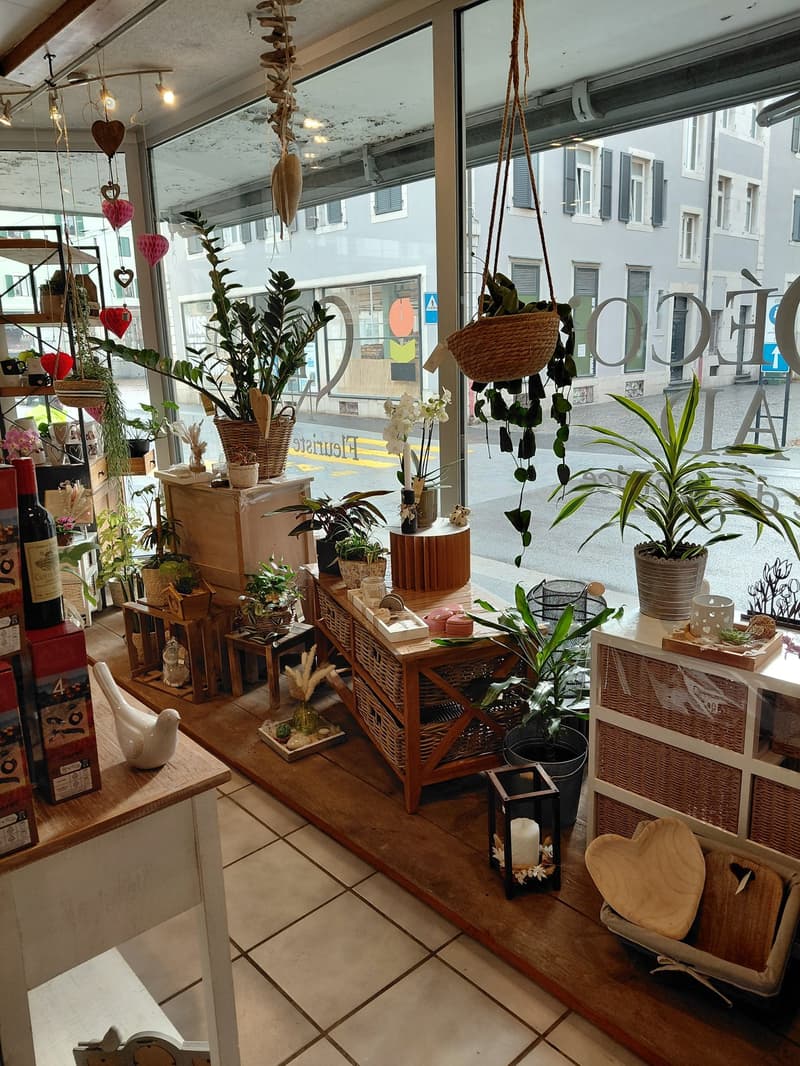 decorative room with various plants and vases, shelves with decorative items, wooden furniture, large window with view outside