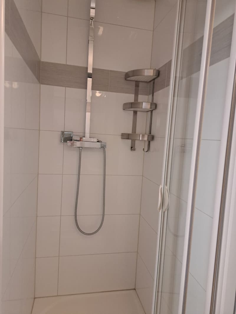shower area, tiled wall, shower head, shower arm, glass door, metal shelves