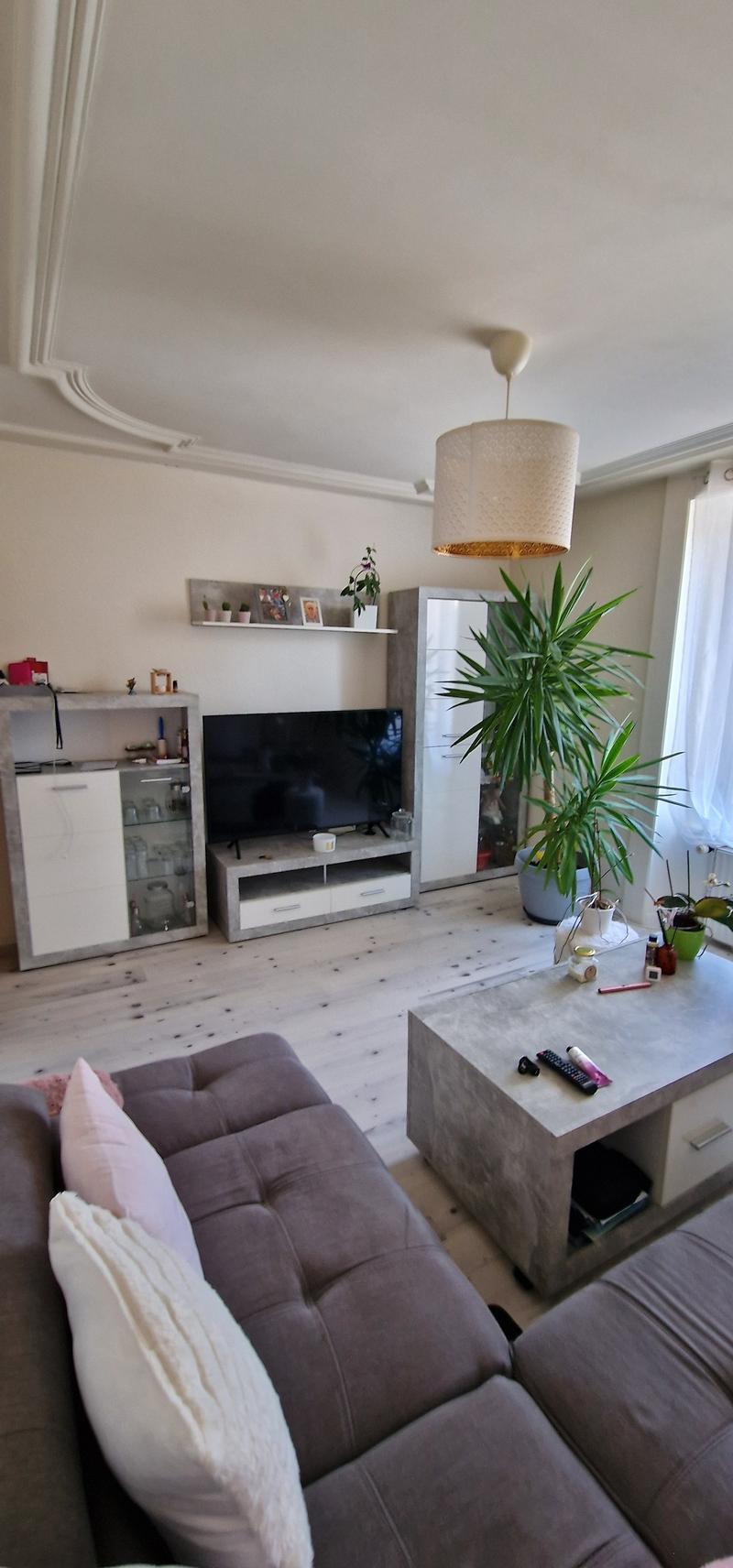 living room with sofa, TV, coffee table, plants, cabinets, shelves, ceiling lamp