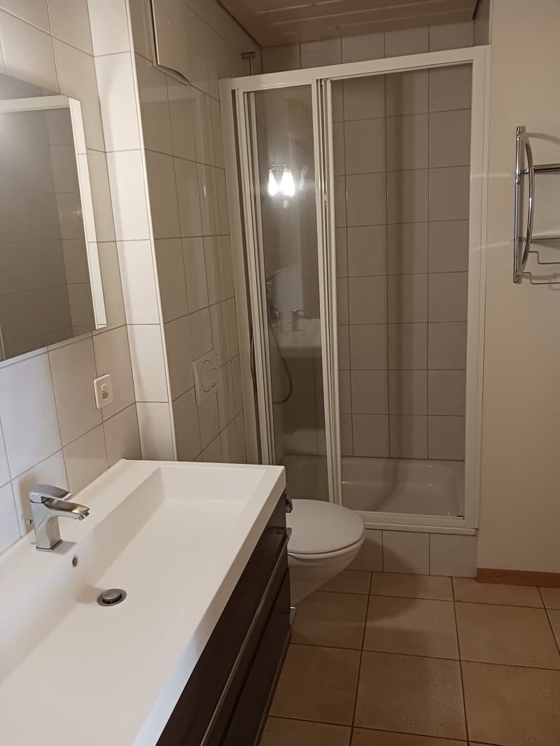 Bathroom with white tiles, white sink, white toilet, glass shower enclosure, mirror, towel rack