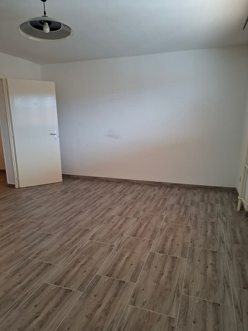 empty room, white walls, wooden floor, white door, ceiling lamp
