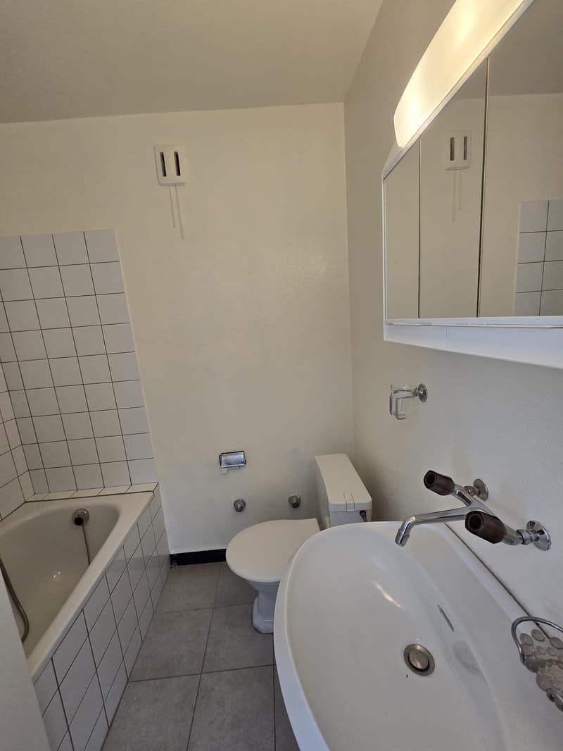 Bathroom with bathtub, toilet, sink, and mirror