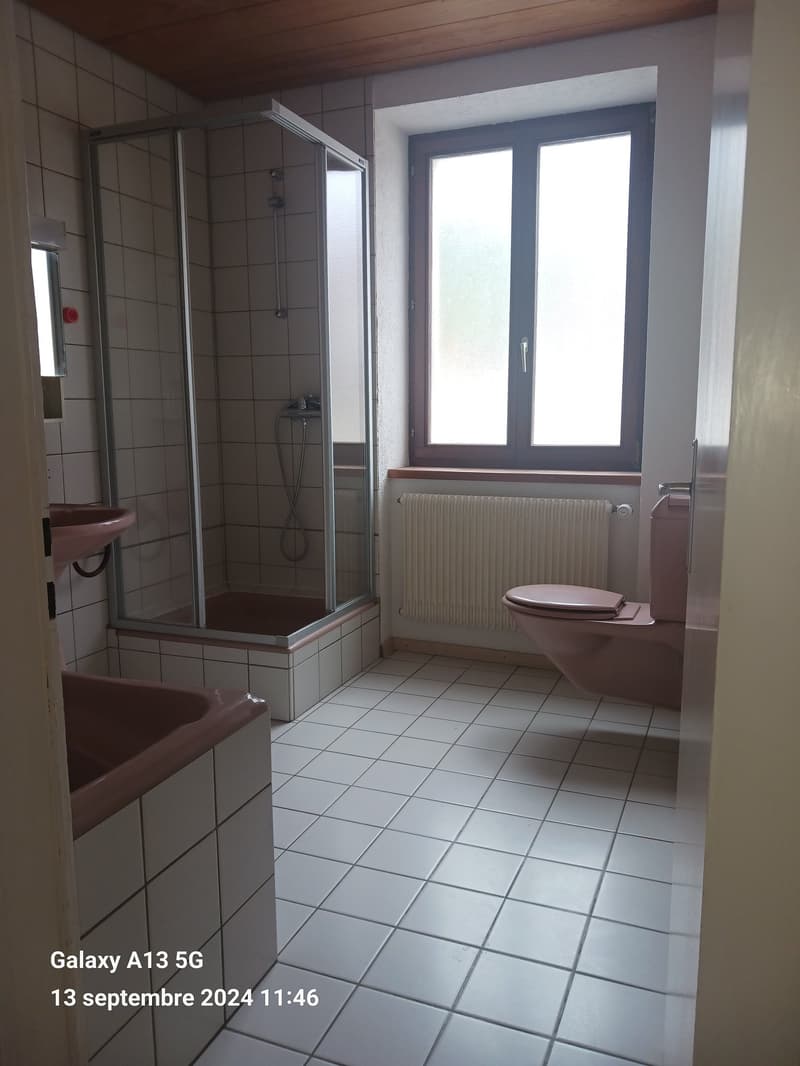 Bathroom with shower, sink, toilet, and radiator
