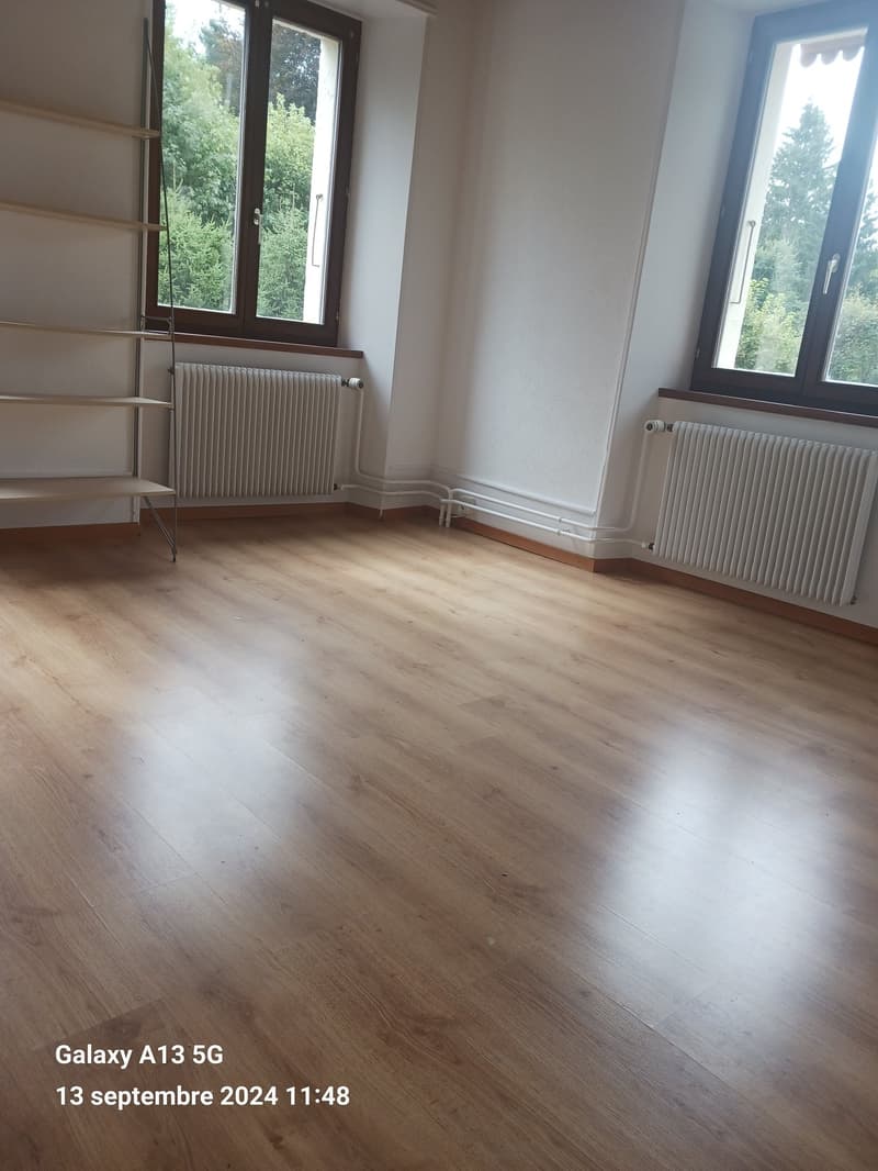 empty room, wooden floor, white walls, two windows, two radiators, metal shelf