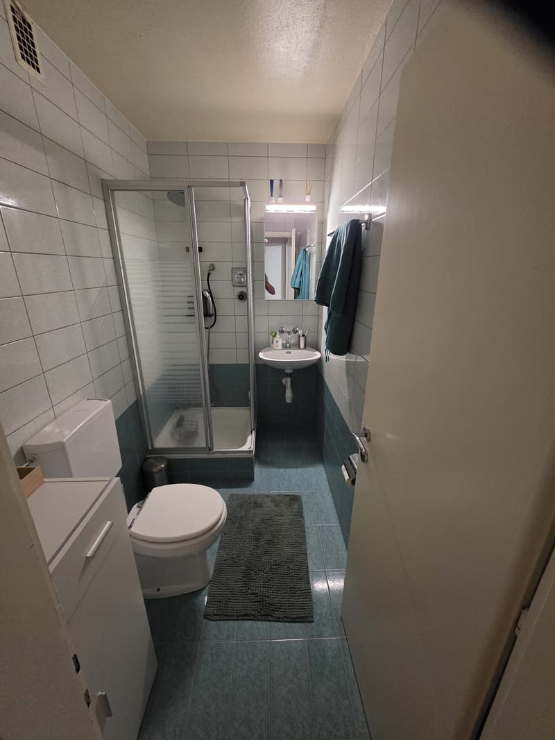 Unfurnished 2-room apartment in Laténa (3)