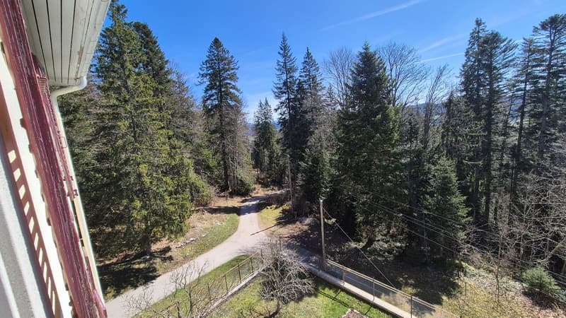 Neuer PREIS! Mitten in der Natur, alte Zollstation mit 3 Apartments (29)
