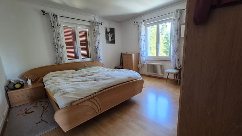 Neuer PREIS! Mitten in der Natur, alte Zollstation mit 3 Apartments (17)
