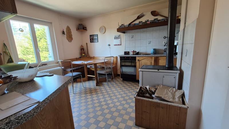 Neuer PREIS! Mitten in der Natur, alte Zollstation mit 3 Apartments (13)