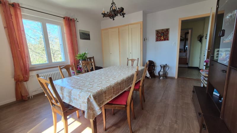 Neuer PREIS! Mitten in der Natur, alte Zollstation mit 3 Apartments (16)