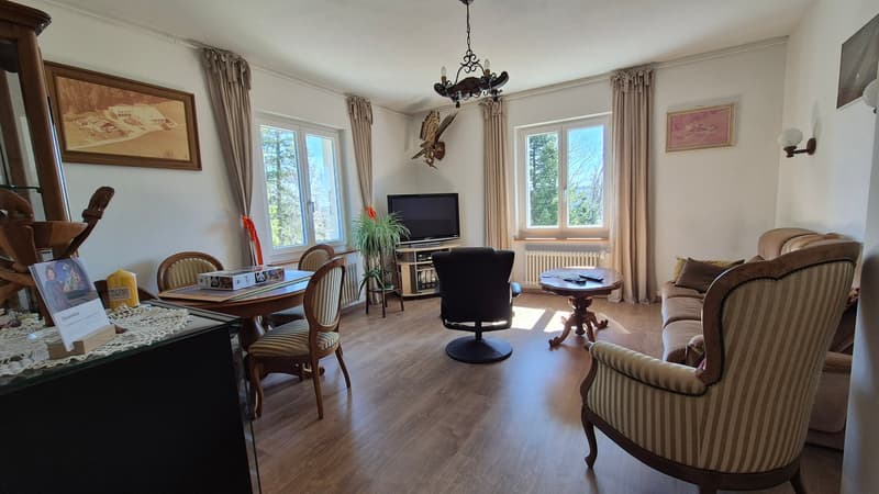 Neuer PREIS! Mitten in der Natur, alte Zollstation mit 3 Apartments (18)