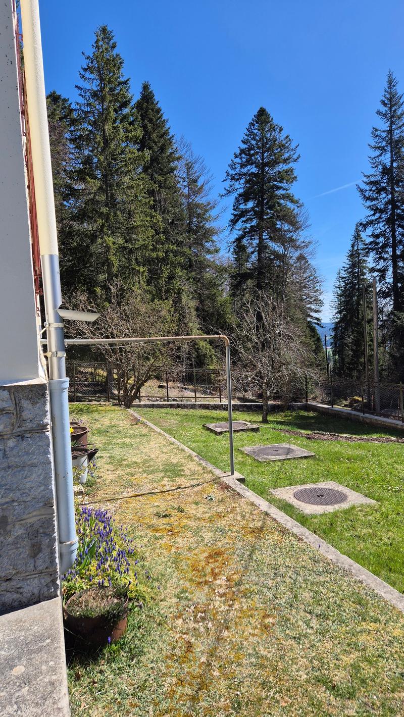 Neuer PREIS! Mitten in der Natur, alte Zollstation mit 3 Apartments (11)