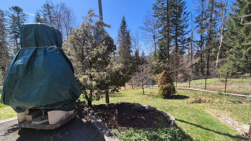 Neuer PREIS! Mitten in der Natur, alte Zollstation mit 3 Apartments (4)
