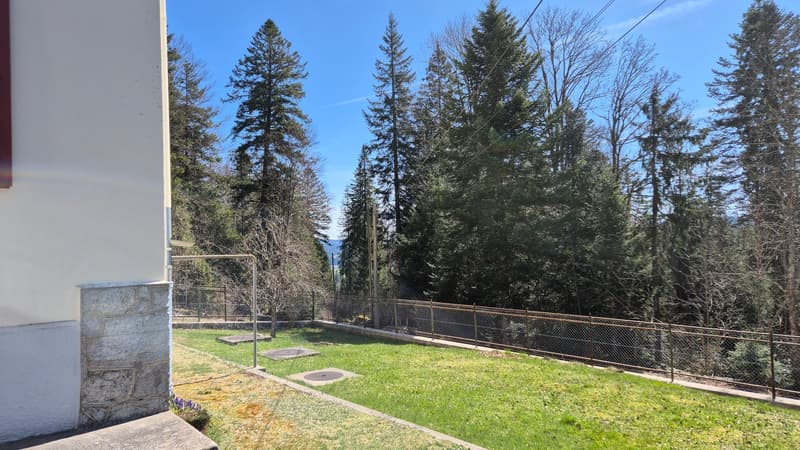 Neuer PREIS! Mitten in der Natur, alte Zollstation mit 3 Apartments (21)