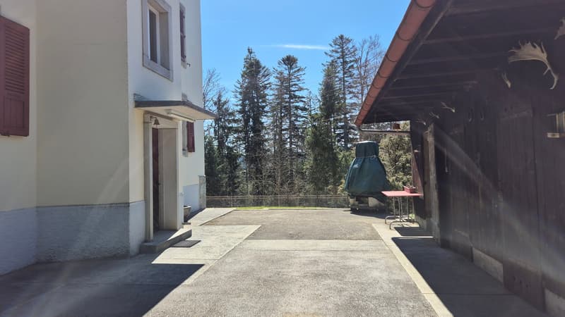 Neuer PREIS! Mitten in der Natur, alte Zollstation mit 3 Apartments (5)