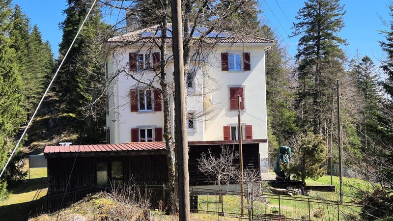 Neuer PREIS! Mitten in der Natur, alte Zollstation mit 3 Apartments (2)