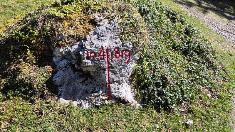 Neuer PREIS! Mitten in der Natur, alte Zollstation mit 3 Apartments (27)