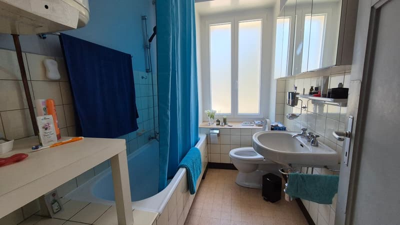 Neuer PREIS! Mitten in der Natur, alte Zollstation mit 3 Apartments (19)
