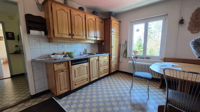 Neuer PREIS! Mitten in der Natur, alte Zollstation mit 3 Apartments (8)