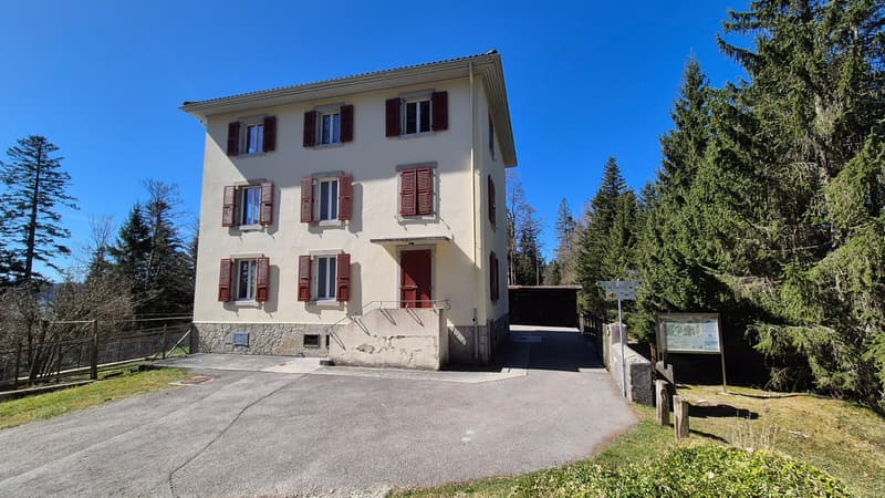 Neuer PREIS! Mitten in der Natur, alte Zollstation mit 3 Apartments (1)