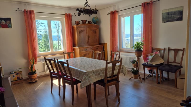Neuer PREIS! Mitten in der Natur, alte Zollstation mit 3 Apartments (15)