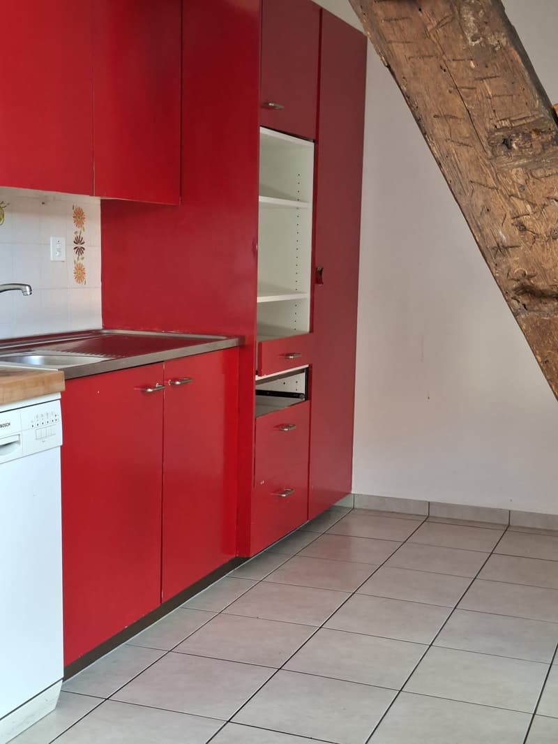Spacious 5-room apartment with fireplace (6)