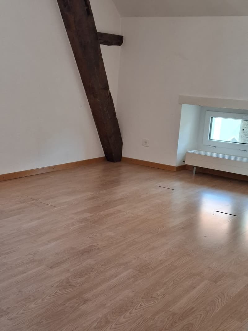 Spacious 5-room apartment with fireplace (4)