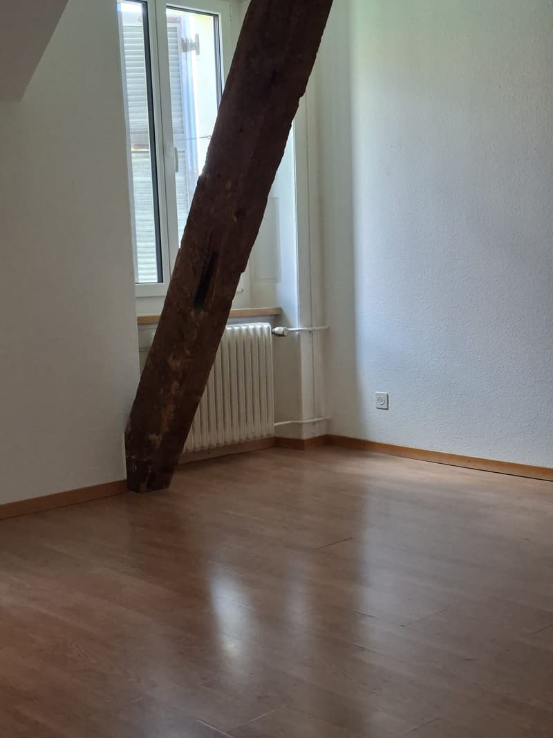 Spacious 5-room apartment with fireplace (5)