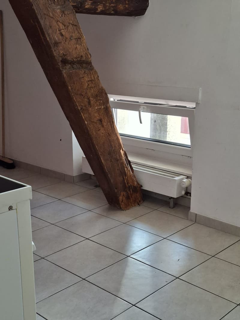 Spacious 5-room apartment with fireplace (3)