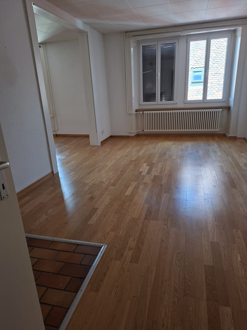 Spacious 5-room apartment with fireplace (2)