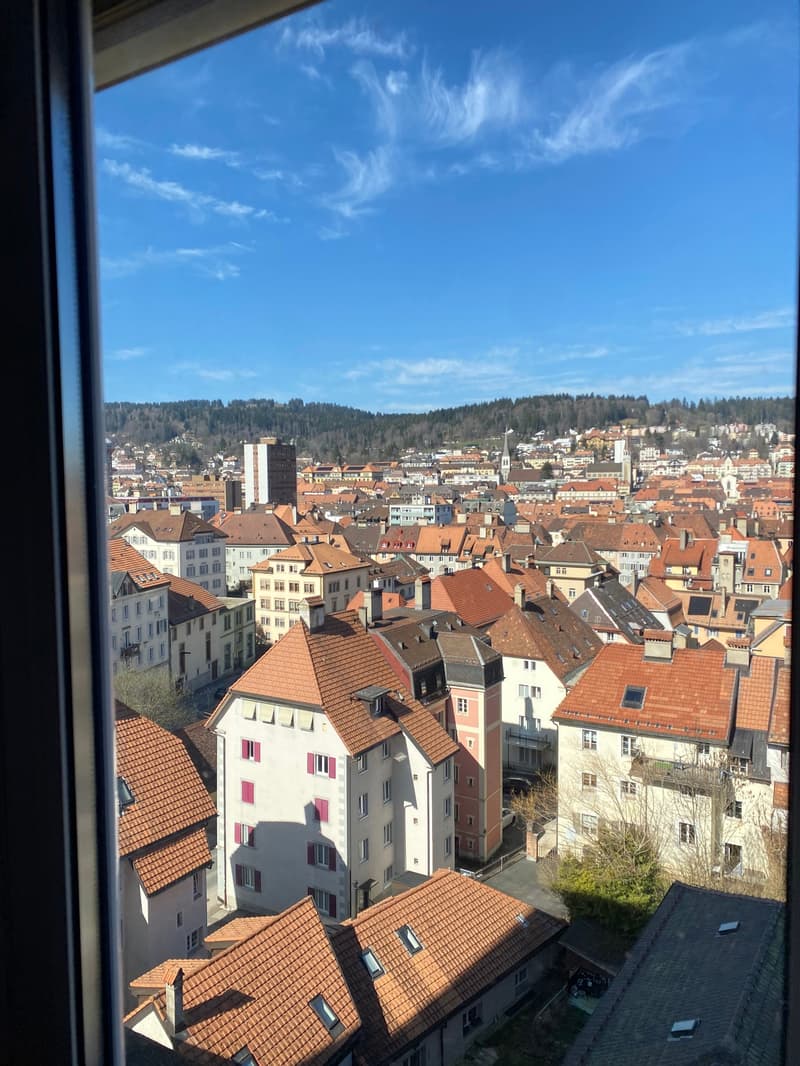 Appartement de 2,5 pièces au 9ème étage à La Chaux-de-Fonds (9)